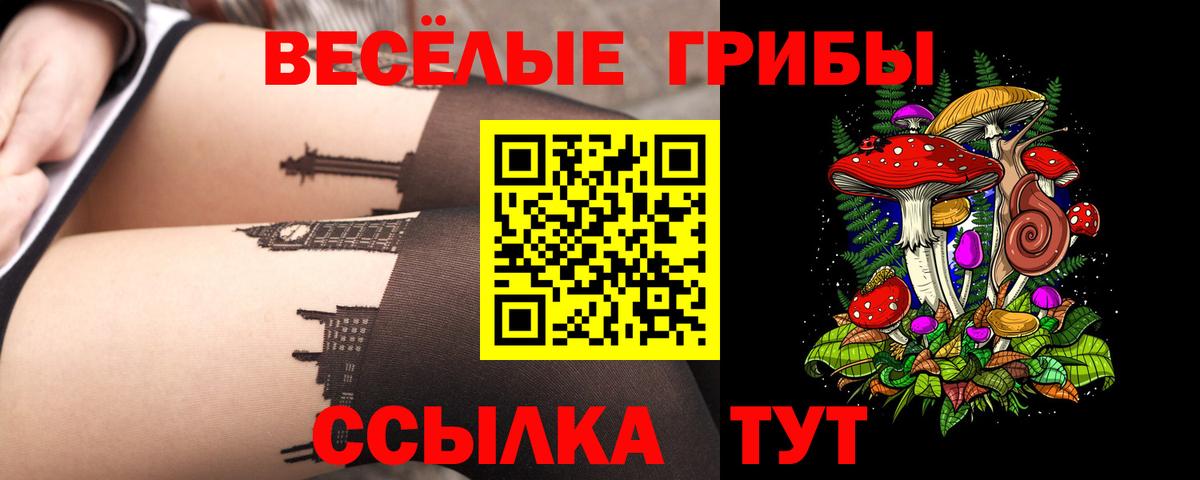 Галлюциногенные грибы прущие грибы  Вход с VPN  Губкинский 